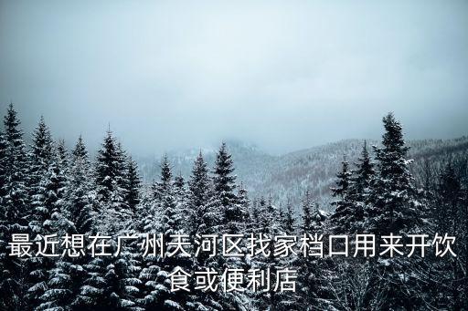 最近想在廣州天河區找家檔口用來開飲食或便利店