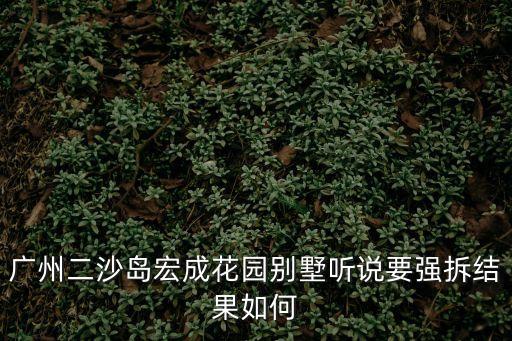 廣州市二沙島什么時候拆遷嗎，楊樹坪的近況