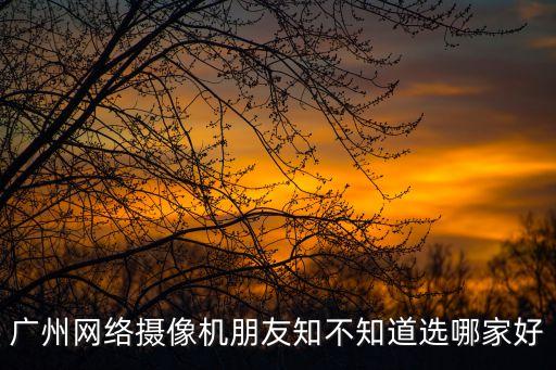 廣州網(wǎng)絡(luò)攝像機(jī)朋友知不知道選哪家好