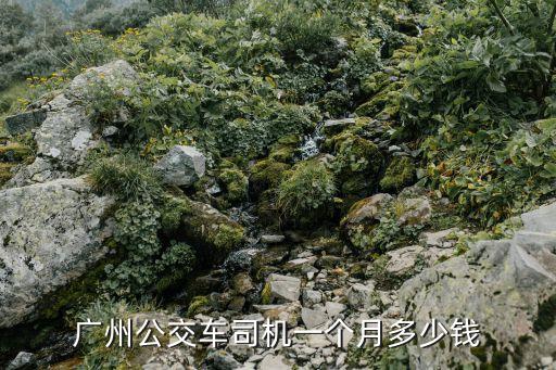 廣州公交司機一個月開銷，廣州公共汽車司機一個月能拿多少錢
