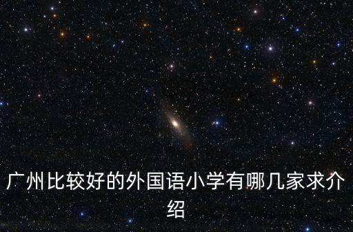 廣州比較好的外國語小學有哪幾家求介紹