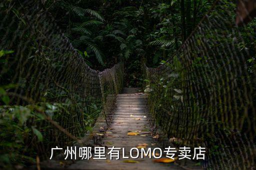 廣州哪里有LOMO專賣店