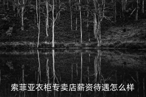 索菲亞衣柜專賣店薪資待遇怎么樣