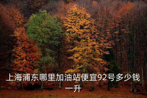 上海市汽油優惠加油站，上海92號汽油哪個加油站最便宜