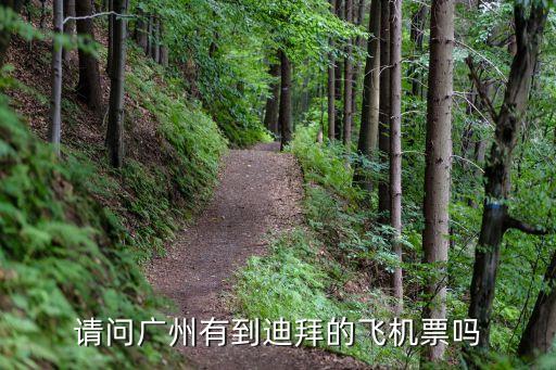 廣州到迪拜預訂，飛往迪拜的航空公司有幾家