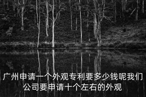 廣州申請一個(gè)外觀專利要多少錢呢我們公司要申請十個(gè)左右的外觀