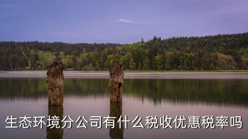 生態環境分公司有什么稅收優惠稅率嗎