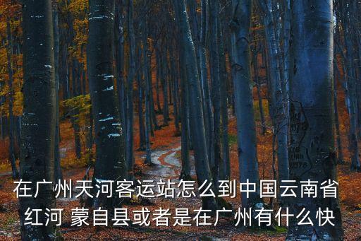 在廣州天河客運站怎么到中國云南省 紅河 蒙自縣或者是在廣州有什么快