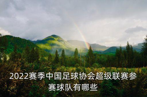 2022賽季中國足球協(xié)會超級聯(lián)賽參賽球隊有哪些