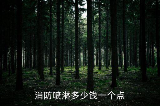 廣州消防噴淋多少錢一個(gè)點(diǎn)，消防噴淋多少錢一個(gè)點(diǎn)位