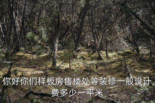 廣州售樓設計費用，你好你們樣板房售樓處等裝修一般設計費多少一平米