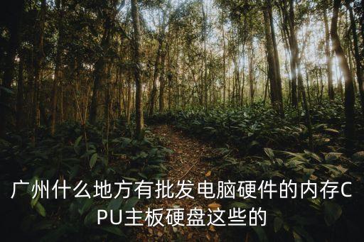 廣州什么地方有批發(fā)電腦硬件的內(nèi)存CPU主板硬盤這些的