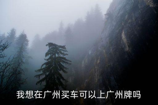 我想在廣州買車可以上廣州牌嗎