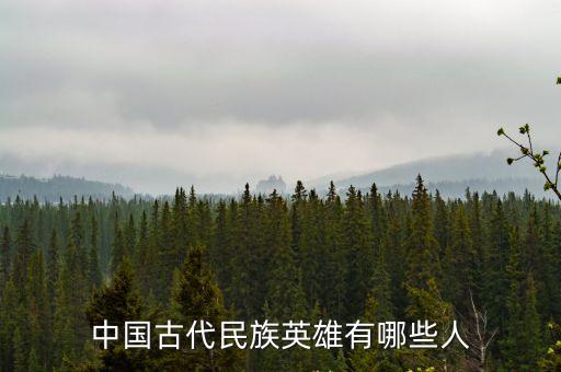 古代英雄，中國歷史上有哪些名族英雄