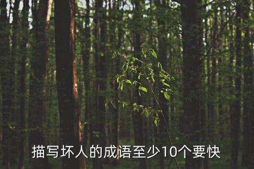 描寫壞人的成語至少10個要快