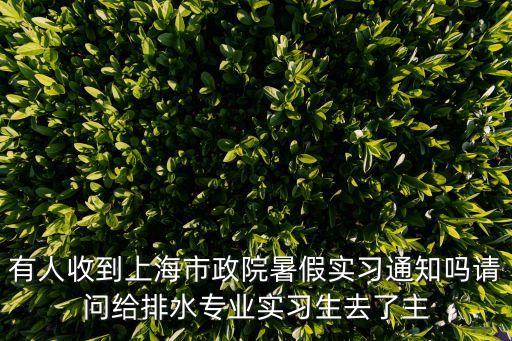 有人收到上海市政院暑假實習通知嗎請問給排水專業實習生去了主