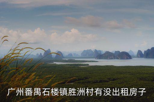廣州番禺石樓鎮勝洲村有沒出租房子