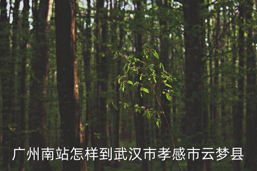 廣州距湖北云夢多少公里，廣州南站怎樣到武漢市孝感市云夢縣