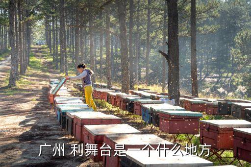廣州哪里有露天演出舞臺，廣州哪里的場地適合演出可以容納400人啊