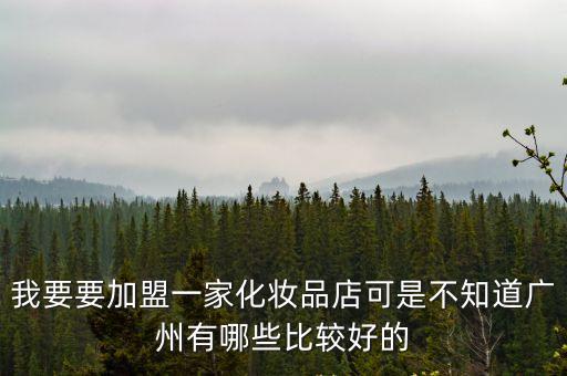 我要要加盟一家化妝品店可是不知道廣州有哪些比較好的