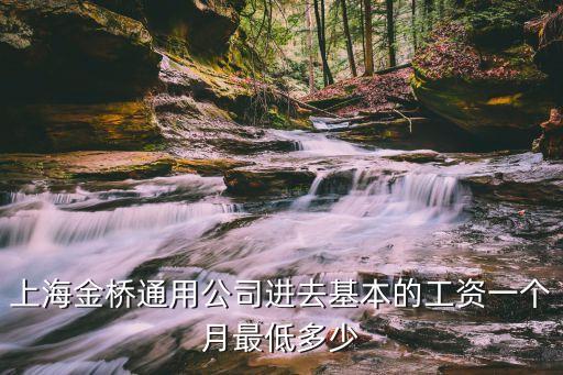 上海市金橋四裕公司待遇怎樣，上海金橋通用公司進去基本的工資一個月最低多少