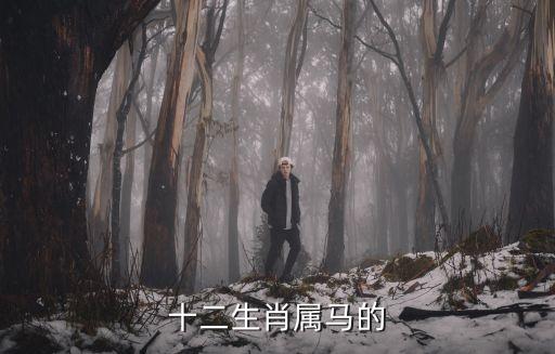 十二生肖屬馬的