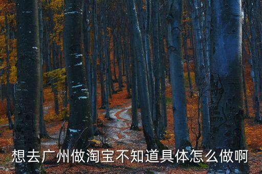 想去廣州淘貨不知道行不行，想去廣州做淘寶不知道具體怎么做啊