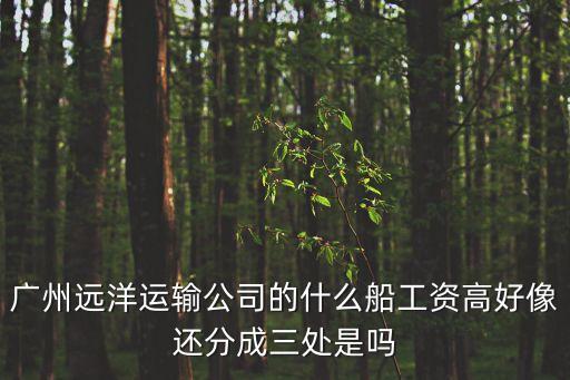 廣州遠洋運輸有限公司退管處，在物流行業中現在出口箱量最多的是那個船公司