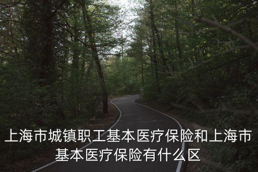 上海市城鎮(zhèn)職工醫(yī)療本，拿到上海的社保卡以后據(jù)說還要辦一本白色的本子后才能用
