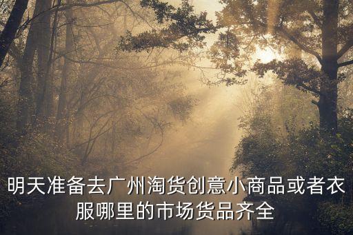 明天準備去廣州淘貨創意小商品或者衣服哪里的市場貨品齊全
