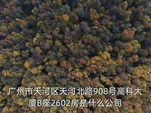 廣州市天河區天河北路908號高科大廈B座2602房是什么公司