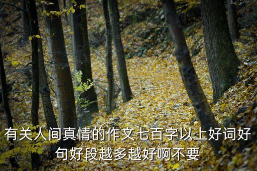 真情的作文，真情為話題的作文
