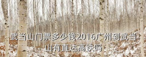 武當(dāng)山門票多少錢2016廣州到武當(dāng)山有直達(dá)高鐵嗎