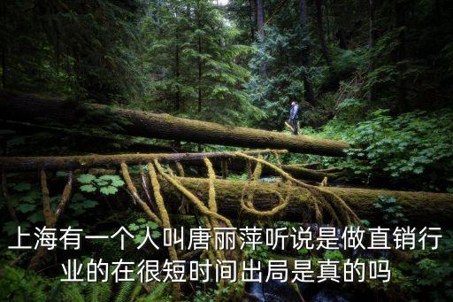 上海市中芯芯片董天化，上海國企生產集成電路的企業有幾家