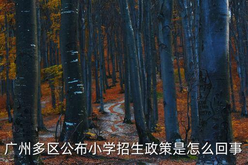 廣州多區公布小學招生政策是怎么回事