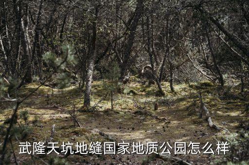 武隆天坑地縫國家地質公園怎么樣