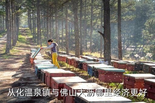 佛山大瀝好還是廣州從化好，是投資佛山好還是從化好