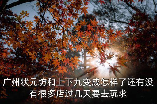 廣州狀元坊和上下九變成怎樣了還有沒有很多店過幾天要去玩求