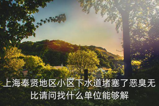 上海市奉賢區水務局高艷，上海奉賢地區小區下水道堵塞了惡臭無比請問找什么單位能夠解