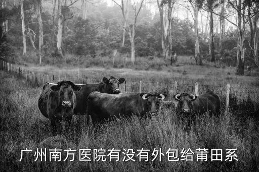 廣州醫院工勤崗位外包，廣州南方醫院有沒有外包給莆田系