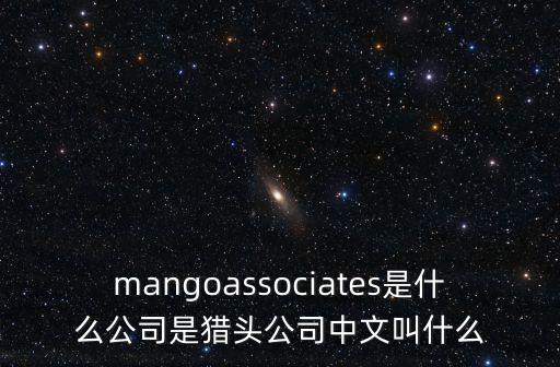 mangoassociates是什么公司是獵頭公司中文叫什么