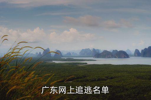 廣東網上追逃名單