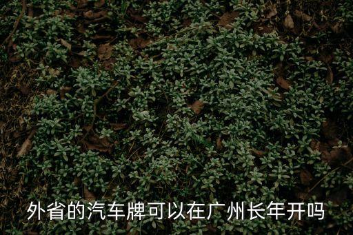 外省的汽車牌可以在廣州長年開嗎
