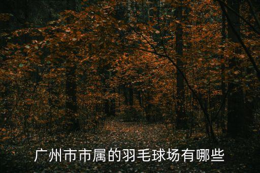 廣州市市屬的羽毛球場有哪些