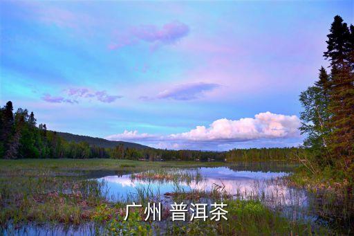 廣州 普洱茶