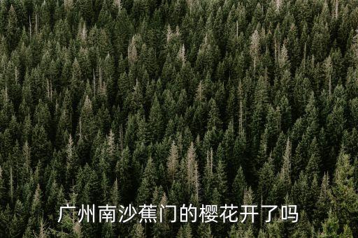 廣州南沙蕉門(mén)的櫻花開(kāi)了嗎