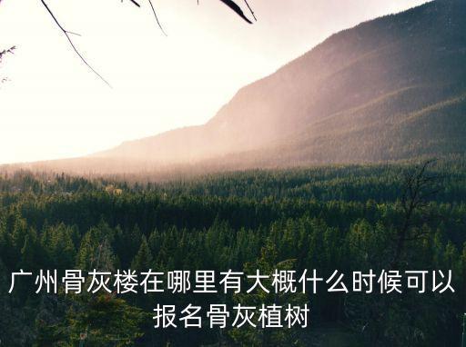 廣州花都磨刀坑水庫建骨灰樓，廣州市骨灰寄存點(diǎn)最好是哪一間骨灰樓和寺廟