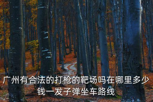 廣州內(nèi)網(wǎng)靶場要怎么學(xué)，廣州有合法的打槍的靶場嗎在哪里多少錢一發(fā)子彈坐車路線