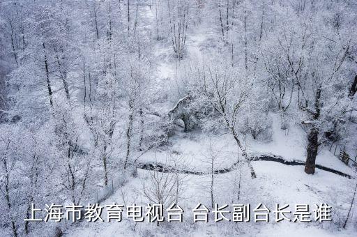 上海市張林輝，上海市常德路1273弄1號樓1203室是騙子公司嗎 有沒人知道這里