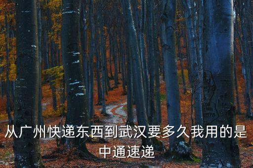 從廣州快遞東西到武漢要多久我用的是中通速遞